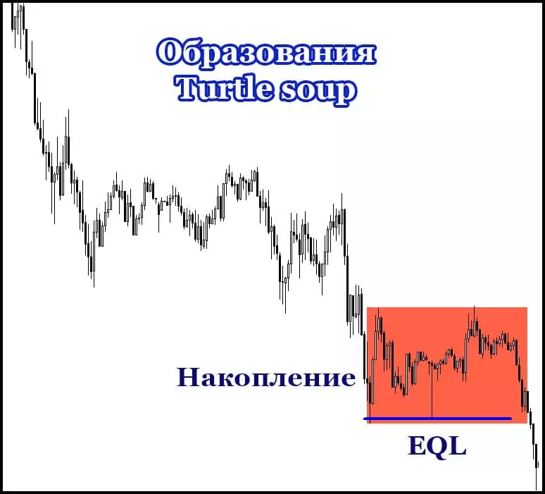 Образование turtle soup